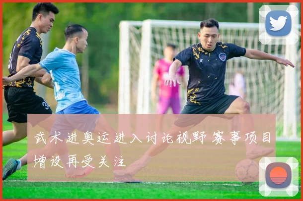 武术进奥运进入讨论视野 赛事项目增设再受关注